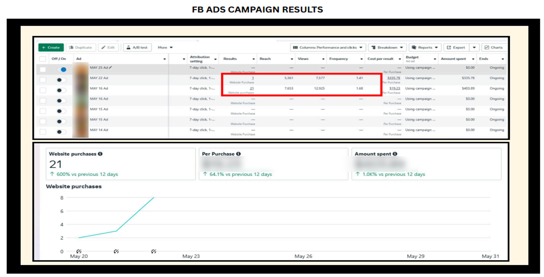 Facebook Ads campaign results showing website purchases, reach, views, and campaign performance